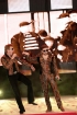 Koncert Artystów Teatru Muzycznego Roma - Galeria zdjęć Gala "Przedsiębiorstw i Gmin Fair Play" 2011